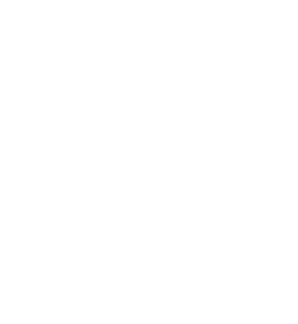 Vector