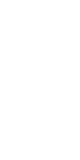 Vector